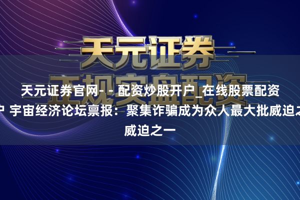 天元证券官网- - 配资炒股开户_在线股票配资开户 宇宙经济论坛禀报：聚集诈骗成为众人最大批威迫之一