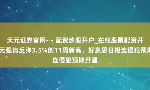 天元证券官网- - 配资炒股开户_在线股票配资开户 日元强势反弹3.5%创11周新高，好意思日相连侵犯预期升温
