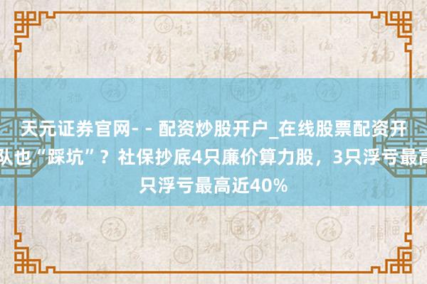 天元证券官网- - 配资炒股开户_在线股票配资开户 国度队也“踩坑”？社保抄底4只廉价算力股，3只浮亏最高近40%