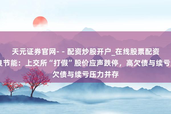 天元证券官网- - 配资炒股开户_在线股票配资开户 双良节能：上交所“打假”股价应声跌停，高欠债与续亏压力并存